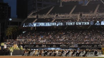 Jun 26, 2014; San Deigo, CA, USA; San Diego Padres former player Tony Gwynn