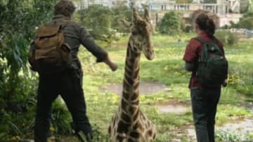 Image: The Last of Us/HBO