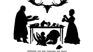 Wikimedia Commons