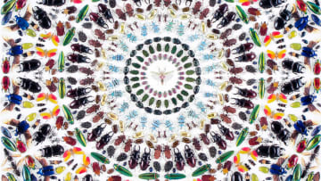 Courtesy Other Criteria © Damien Hirst