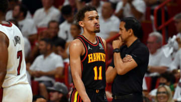 Atlanta Hawks. Mandatory Credit: Jim Rassol-USA TODAY Sports