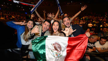 MEXICO CITY, MEXICO - NOVEMBER 15: Fans cheer with the Mexican flag during the UFC 180 event at Arena Ciudad de Mexico on November 15, 2014 in Mexico City, Mexico. (Photo by Jeff Bottari/Zuffa LLC/Zuffa LLC via Getty Images)