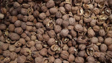 EDIRNE, TURKEY - OCTOBER 22: Walnuts are seen during harvesting process in Sipahi village of Uzunkopru town, Edirne, Turkey on October 22, 2021. (Photo by Gokhan Balci/Anadolu Agency via Getty Images)