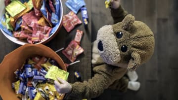 Young child in a bear costume oversees his Halloween candy haul.