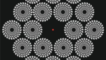 "The Spinning Disks Illusion"