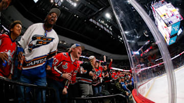 Washington Capitals Mandatory Credit: Isaiah J. Downing-USA TODAY Sports