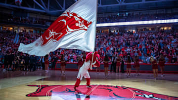 FAYETTEVILLE, AR - NOVEMBER 30: Mascot of the Arkansas Razorbacks waves the flag before a game against the Northern Kentucky Norse at Bud Walton Arena on November 30, 2019 in Fayetteville, Arkansas. (Photo by Wesley Hitt/Getty Images)