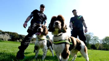 WINDSOR, ENGLAND - APRIL 19: PC Jim Hyman (tattoos) with Yury and PC Paul Shutler with Gus in Home Park, part ofThames Valley Police Joint Operations Dog Unit out in Windsor ahead of next months wedding of His Royal Highness Prince Harry and Ms Meghan Markle on April 19, 2018 in Windsor, England. (Photo by Geoff Pugh - WPA Pool/Getty Images)