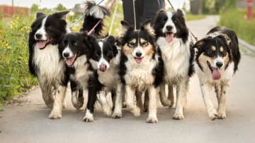iStock