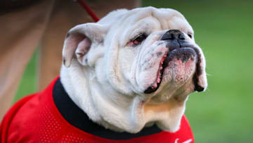 ATHENS, GA - OCTOBER 16: Georgia Bulldogs mascot UGA X is seen on the sidelines in the second half against the Kentucky Wildcats at Sanford Stadium on October 16, 2021 in Athens, Georgia. (Photo by Todd Kirkland/Getty Images)