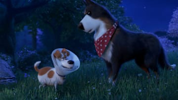 (from left) Max (Patton Oswalt) and Rooster (Harrison Ford) in Illumination's "The Secret Life of Pets 2," directed by Chris Renaud. -- Credit: Illumination Entertainment and Universal Pictures