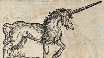 A woodcut of a unicorn from 1551