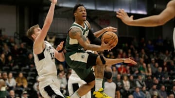 Rayjon Tucker, Wisconsin Herd. Luka Samanic, Austin Spurs. Copyright 2019 NBAE (Photo by Mike E. Roemer/NBAE via Getty Images)