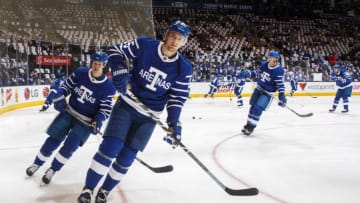 TORONTO, ON - DECEMBER 19: James van Riemsdyk