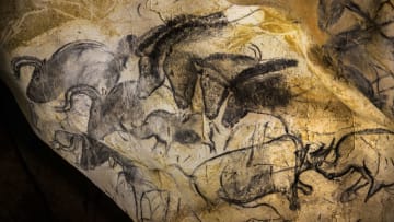 A view taken on June 13, 2014 shows paintings of animal figures on the rock walls of the Chauvet Cave in Vallon Pont d'Arc.