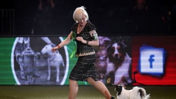 BIRMINGHAM, ENGLAND - MARCH 10: Dylan, a Papillon from Belgium, and owner Kathleen Roosens celebrate after winning Best in Show on the last day of Crufts Dog Show at the National Exhibition Centre on March 10, 2019 in Birmingham, England. First held in 1891, Crufts is said to be the largest show of its kind in the world. The annual four-day event features thousands of dogs, with competitors travelling from countries across the globe to take part and vie for the coveted title of 'Best in Show'. (Photo by Christopher Furlong/Getty Images)