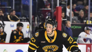 LAVAL, QC - OCTOBER 16: Jack Studnicka #23 of the Providence Bruins skates against the Laval Rocket at Place Bell on October 16, 2019 in Laval, Canada. The Laval Rocket defeated the Providence Bruins 5-4 in a shoot-out. (Photo by Minas Panagiotakis/Getty Images)