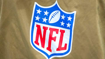 NFL. (Photo by Nic Antaya/Getty Images)