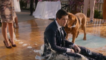 Turner & Hooch "Bite Club" (Disney)