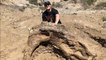 Harrison Duran with a partial Triceratops skull.