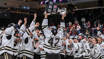 Dylan McIlrath, Hershey Bears