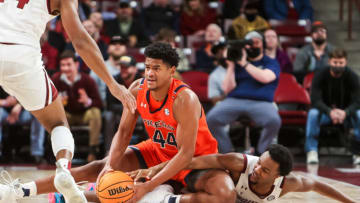 Plenty is on the line this Saturday in the Auburn basketball regular season finale against South Carolina. Mandatory Credit: Jeff Blake-USA TODAY Sports