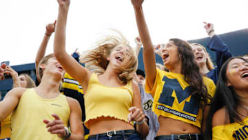 Michigan Wolverines fans celebrate during the third quarter against the Rutgers Scarlet Knights at Michigan Stadium. Mandatory Credit: Raj Mehta-USA TODAY Sports