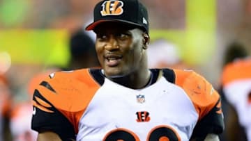 Aug 17, 2013; Cincinnati, OH, USA; Cincinnati Bengals outside linebacker James Harrison (92) on the sidelines in the third quarter of a preseason game against the Tennessee Titans at Paul Brown Stadium. Mandatory Credit: Andrew Weber-USA TODAY Sports