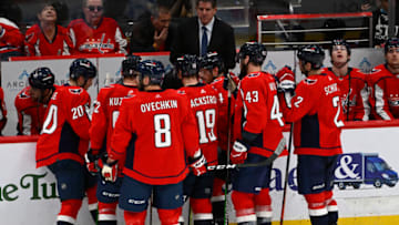 Washington Capitals Mandatory Credit: Brad Mills-USA TODAY Sports