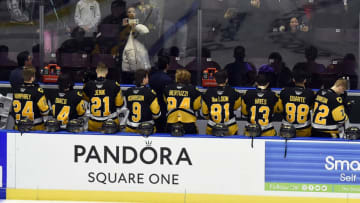 Hamilton Bulldogs (Photo by Graig Abel/Getty Images)