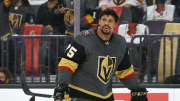 Newest New York Rangers player, Ryan Reaves (Photo by Ethan Miller/Getty Images)