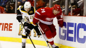 Sep 30, 2016; Detroit, MI, USA; (EDITORS NOTE: CAPTION CORRECTION) Boston Bruins defenseman Joe Morrow (45) and Detroit Red Wings right wing Gustav Nyquist (14) battle for the puck in the third period during a preseason hockey game at Joe Louis Arena. Boston won 2-1 in overtime. Mandatory Credit: Rick Osentoski-USA TODAY Sports