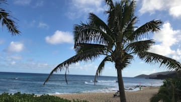 Sandy Beach, on Oahu's South Shore, is between Hanauma Bay and Makapuu Point.Sandy Beach