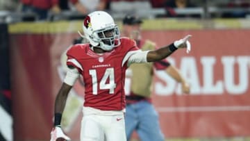 Nov 22, 2015; Glendale, AZ, USA; Arizona Cardinals wide receiver J.J. Nelson (14) celebrates a touchdown against the Cincinnati Bengals during the second half at University of Phoenix Stadium. Mandatory Credit: Joe Camporeale-USA TODAY Sports