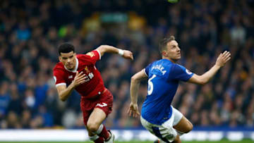 LIVERPOOL, ENGLAND - APRIL 07: Dominic Solanke of Liverpool and Phil Jagielka of Everton chase the ball during the Premier League match between Everton and Liverpool at Goodison Park on April 7, 2018 in Liverpool, England. (Photo by Julian Finney/Getty Images)