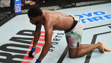 NEWARK, NJ - AUGUST 03: Kennedy Nzechukwu reacts after an illegal strike to the groin in his light heavyweight bout against Darko Stosic of Serbia during the UFC Fight Night event at the Prudential Center on August 3, 2019 in Newark, New Jersey. (Photo by Josh Hedges/Zuffa LLC/Zuffa LLC via Getty Images)
