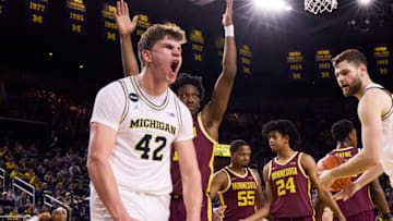 Jan 22, 2023; Ann Arbor, Michigan, USA; Michigan Wolverines forward Will Tschetter (42) celebrates during the first half against the Minnesota Golden Gophers at Crisler Center. Mandatory Credit: Rick Osentoski-USA TODAY Sports