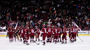Dec 29, 2014; Glendale, AZ, USA; The Arizona Coyotes celebrate after beating the Philadelphia Flyers 4-2 at Gila River Arena. Mandatory Credit: Matt Kartozian-USA TODAY Sports