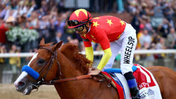 ELMONT, NY - JUNE 09: Jockey Mike Smith celebrates atop of Justify #1 the 150th running of the Belmont Stakes at Belmont Park on June 9, 2018 in Elmont, New York. Justify becomes the thirteenth Triple Crown winner and the first since American Pharoah in 2015. (Photo by Mike Stobe/Getty Images)