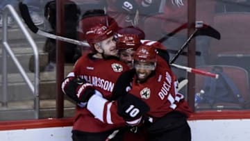 Jan 12, 2016; Glendale, AZ, USA; Arizona Coyotes center Max Domi (16) celebrates with defenseman Oliver Ekman-Larsson (23) and left wing Anthony Duclair (10) after scoring a goal in the third period against the Edmonton Oilers at Gila River Arena. Mandatory Credit: Matt Kartozian-USA TODAY Sports