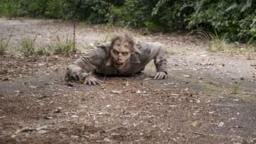 - The Walking Dead _ Season 8, Episode 11 - Photo Credit: Gene Page/AMC
