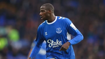 Everton (Photo by James Gill - Danehouse/Getty Images)