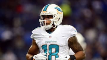 Nov 9, 2014; Detroit, MI, USA; Miami Dolphins wide receiver Rishard Matthews (18) against the Detroit Lions at Ford Field. Mandatory Credit: Andrew Weber-USA TODAY Sports