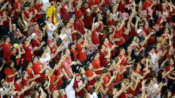 ATLANTA, GA - APRIL 06: Fans of the Louisville Cardinals support their team against the Wichita State Shockers during the 2013 NCAA Men's Final Four Semifinal at the Georgia Dome on April 6, 2013 in Atlanta, Georgia. (Photo by Streeter Lecka/Getty Images)