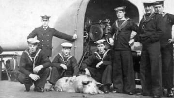 Royal Navy