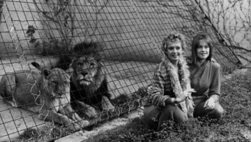 Tippi Hedren and Melanie Griffith with a couple of cool cats in 1982.