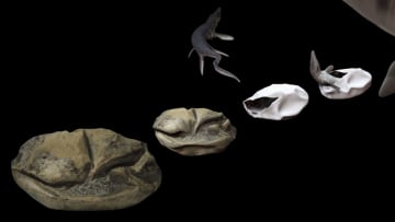 An artist’s interpretation of the birth of a baby mosasaur.