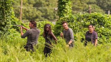 The Walking Dead via AMC; Andrew Lincoln as Rick Grimes,Danai Gurira as Michonne, Ross Marquand as Aaaron, Alanna Masterson as Tara Chambler, Christian Serratos as Rosita Espinosa