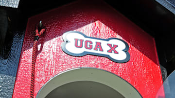 ATHENS, GA - SEPTEMBER 10: The the Georgia Bulldogs mascot UGA 10 watches the action against the Nicholls Colonels at Sanford Stadium on September 10, 2016 in Athens, Georgia. (Photo by Scott Cunningham/Getty Images)