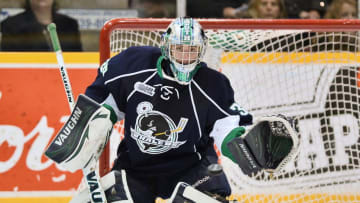 Photo by Terry Wilson / OHL Images.